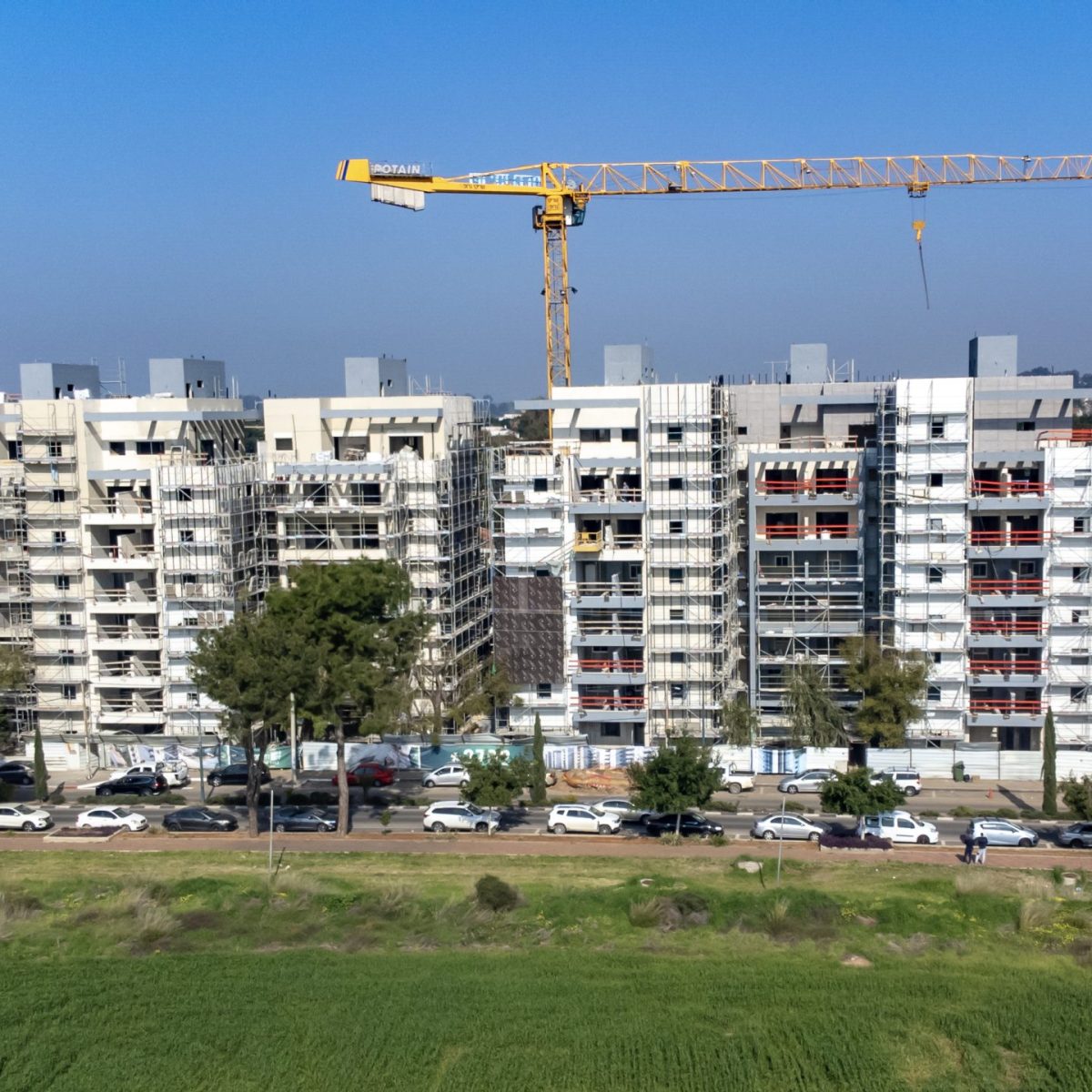 השיקמה, כפר סבא